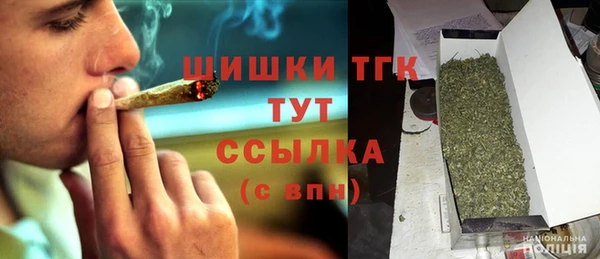 стафф Коряжма