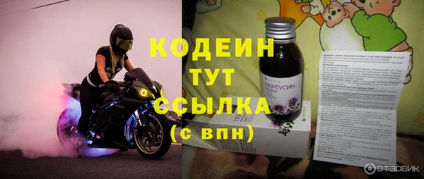 прущий лед Корсаков
