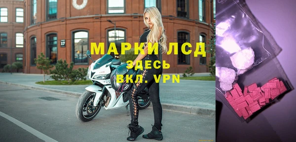 стафф Коряжма