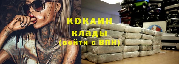 стафф Коряжма