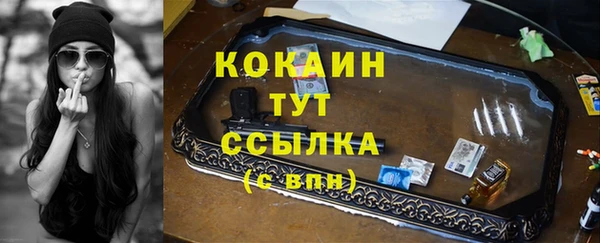 стафф Коряжма