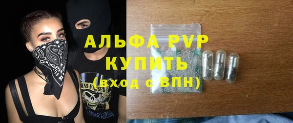 стафф Коряжма