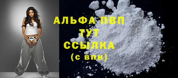 стафф Коряжма